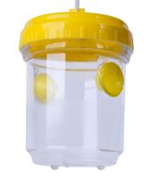 Pasca na osy a sršne