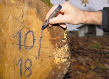 Značkovač Pica Classic 590 kriedový modrý / 12 ks (1)